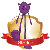 strider strider